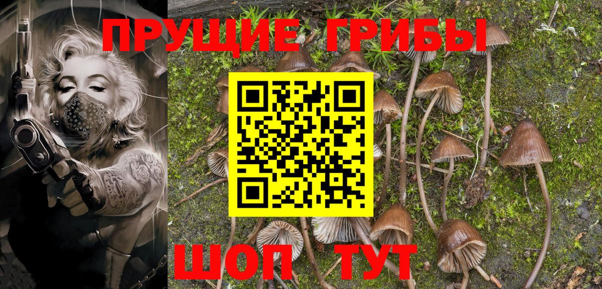 Галлюциногенные грибы MAGIC MUSHROOMS Благовещенск