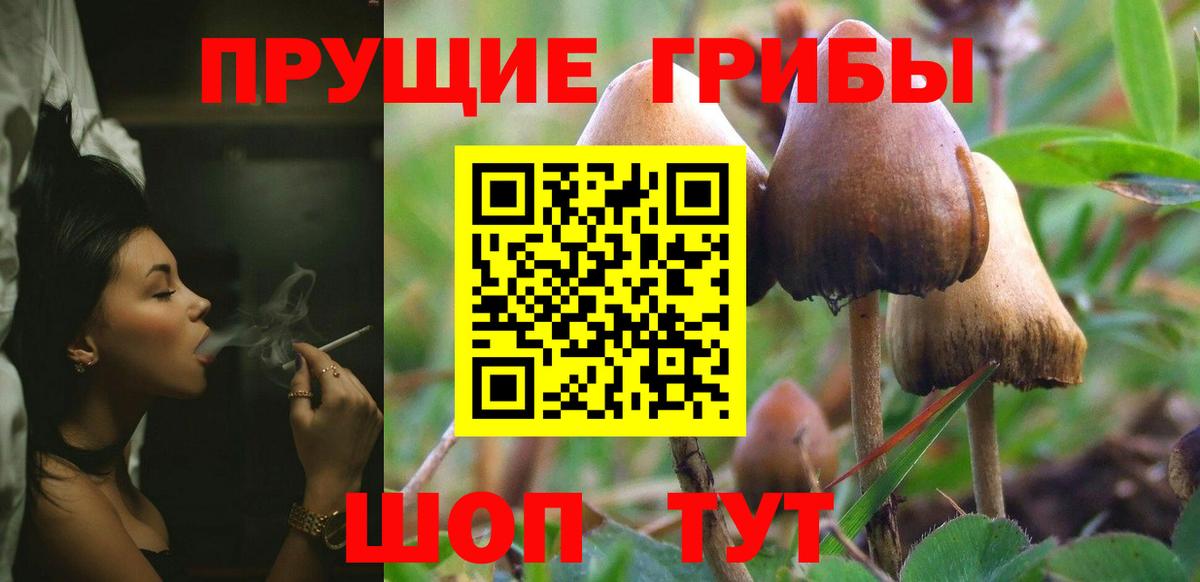 Галлюциногенные грибы Magic Shrooms  Псилоцибиновые грибы мухоморы  Вход с VPN  Благовещенск 